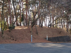北山霊園に友人...