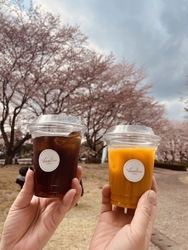 東雲公園にお花...