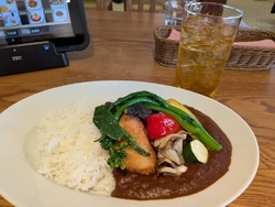 朝採れ野菜カレ...
