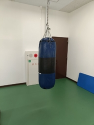 ブレックスアリ...