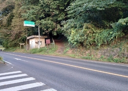 以前から大平山...