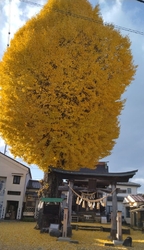 平日午後参拝。...