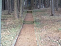 栃木県文化財の...