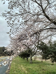 荒川沿いに整備...