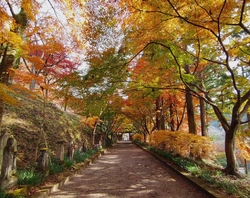 佐野市仙波町の...