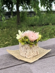 花あそびのワー...