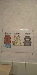 初めてペーパー...