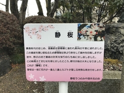 日光街道の通り...