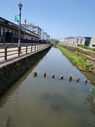 栃木市の県庁堀...