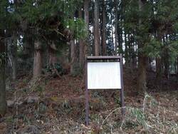栃木県文化財の...