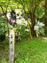 昨年新聞に雲巌...