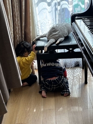 1歳の息子が0...
