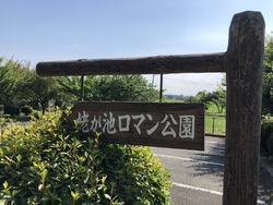 木製の遊具のあ...