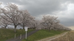 砂河川敷の土手...