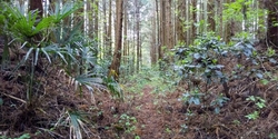 鎌倉時代の畠山...