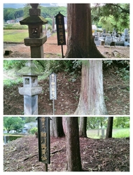 建物及び境内全...