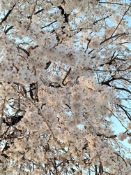 山門近くにある...