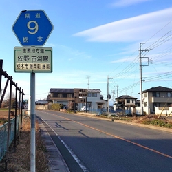 渡良瀬遊水池の...