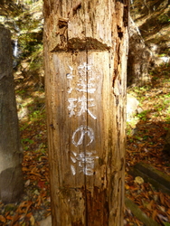 塩原バレーライ...