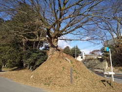 北赤塚町の一里...