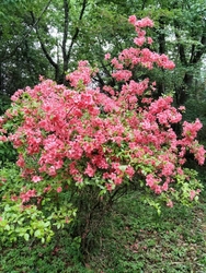 烏山城主那須資...