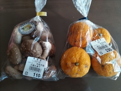 冬至だったので...