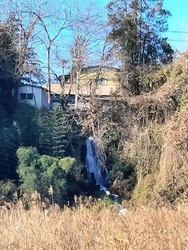 河原の対岸から...