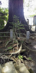 道の駅ばとうの...