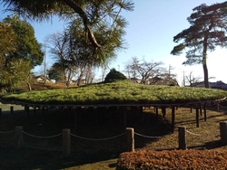 栃木県天然記念...