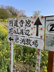 益子の新しい散...