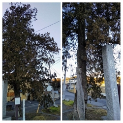 佐野市山越町の...