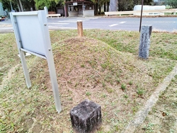 高さ80cm程...