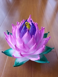 高福寺さんでは...