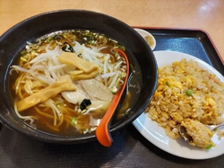 前回気になって...