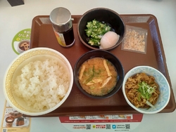 朝のウォーキン...