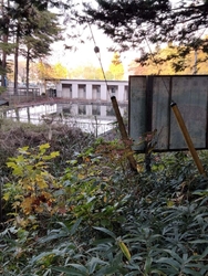 旧西小学校がナ...