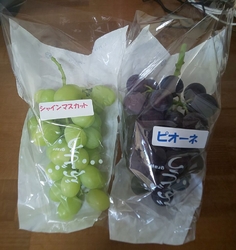 下川俣町にある...
