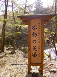 福渡不動吊橋を...