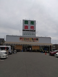 野菜、果物がい...