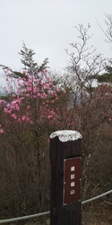 備前楯山は標高...