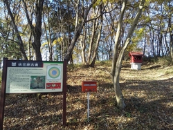 道路沿いの看板...
