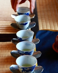 煎茶体験をさせ...