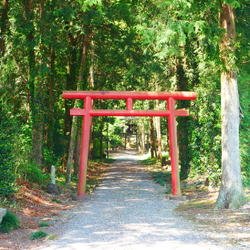 父母と散策をし...