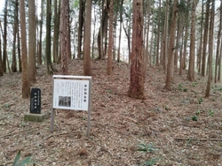 個人宅所有で敷...