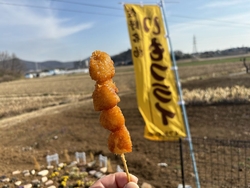 先日テレビで紹...