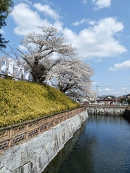 近くの東雲公園...