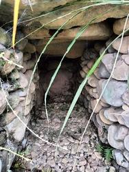 古墳を見せて頂...