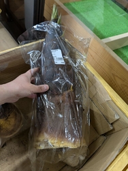 タケノコが食べ...