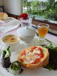 新緑の爽やかな...
