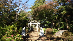久しぶりに参拝...